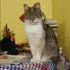 Отзыв от Галина Савельева